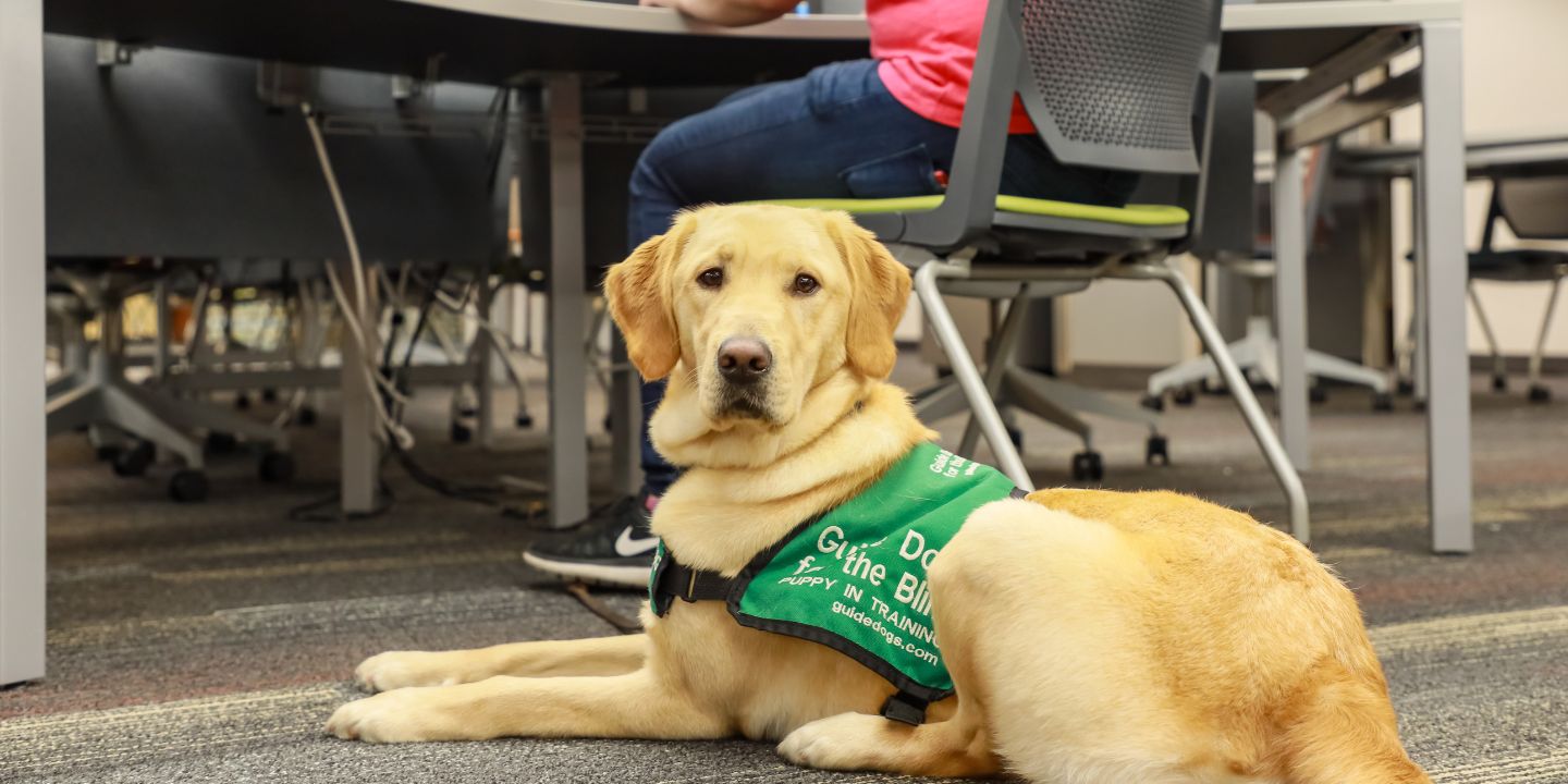 RM Website - Feature Image-1.jpg